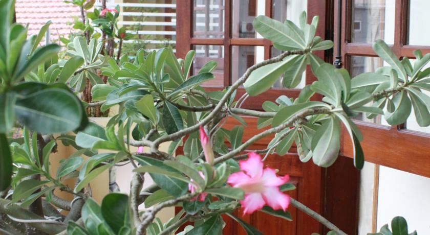 Phong Lan Guesthouse Hue Zewnętrze zdjęcie